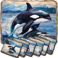 Playful Orcas Wooden Cork Placemat and Coasters Gift Set of 7 by Nature Wonders Coastal Nature Wildlife Décor  - 85412C-S7