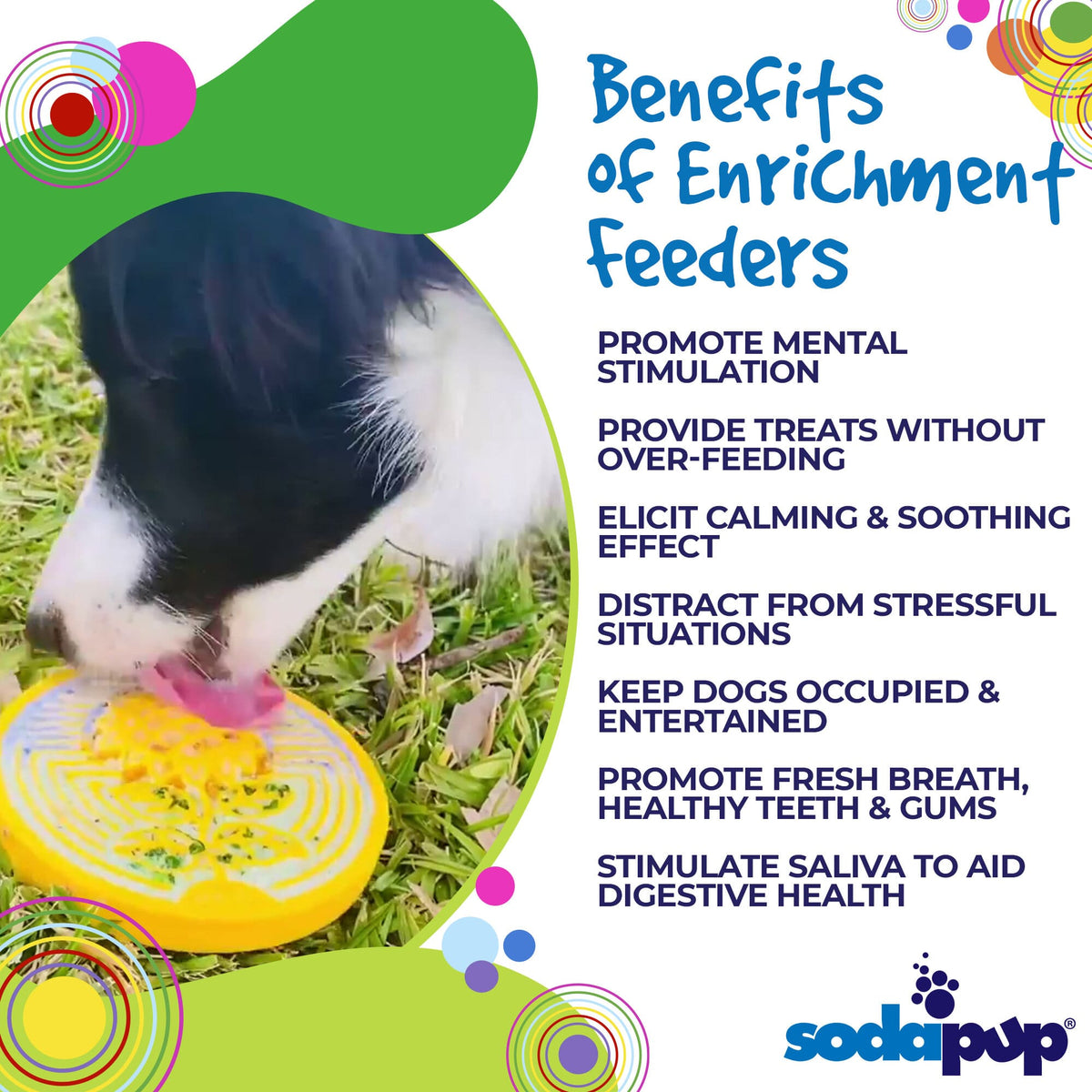 Earth eCoin Nylon Lick Mat for Dogs | USA Made Enrichment Toy | SodaPup