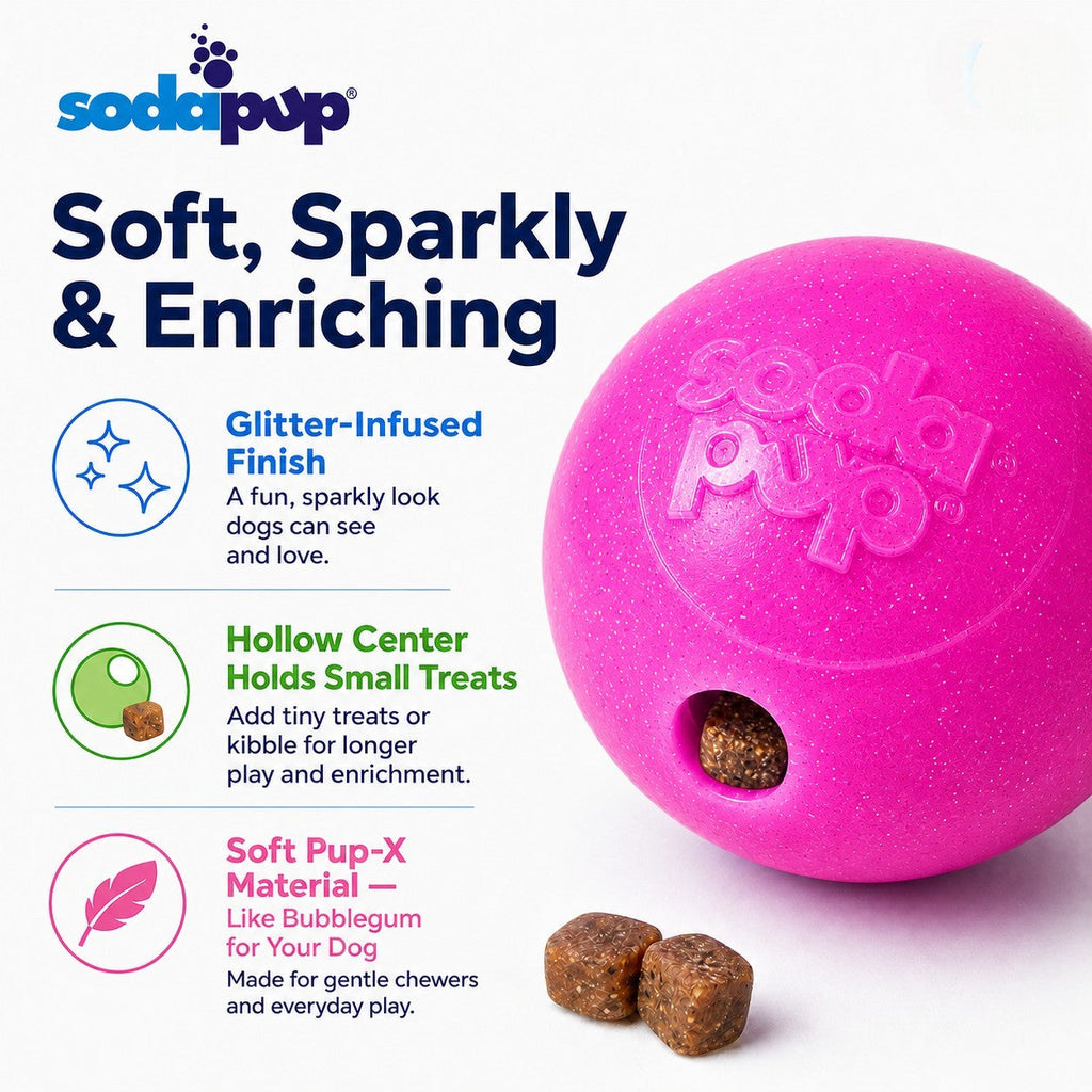 Glitter Ball 3-Pack Dog Toy | Soft PUP-X Rubber Floating Fetch Ball with Treat Dispenser | USA Made