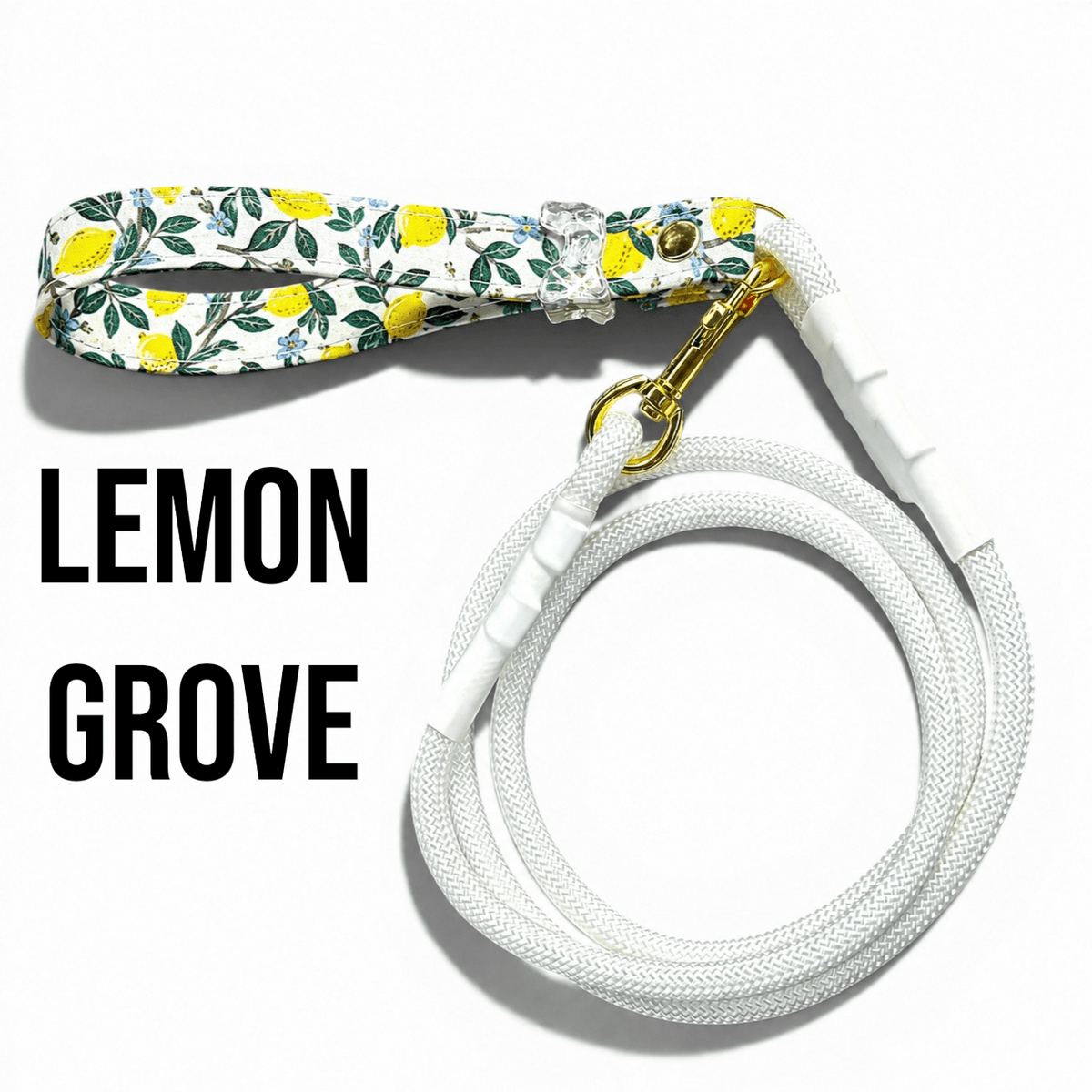 Classic Collection Leashes