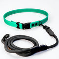 Hands-Free LED Belt Leash
